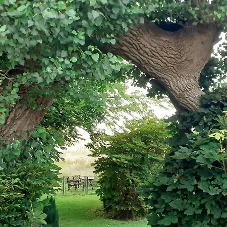 Idyllic Thatched On The Ridge Between Sea Areas Σπίτι διακοπών