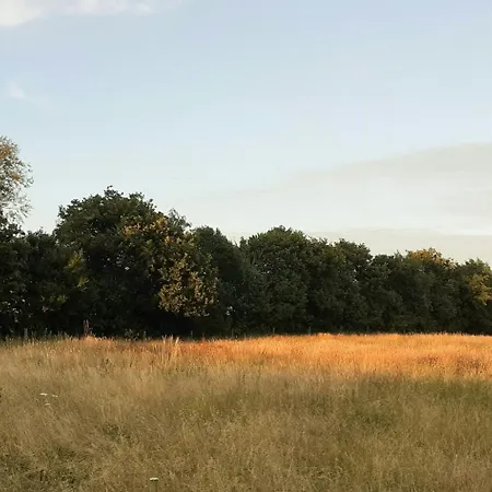 Σπίτι διακοπών Idyllic Thatched On The Ridge Between Sea Areas Ebbelokke