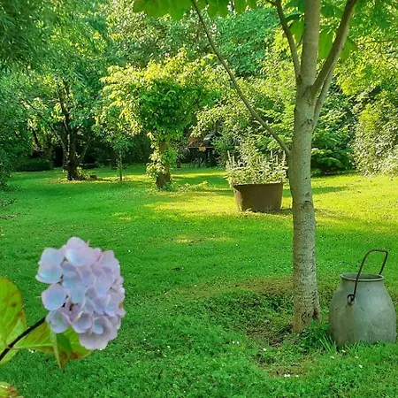 Idyllic Thatched On The Ridge Between Sea Areas Ebbelokke